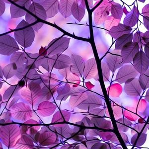 Meet your Posher, Pammy